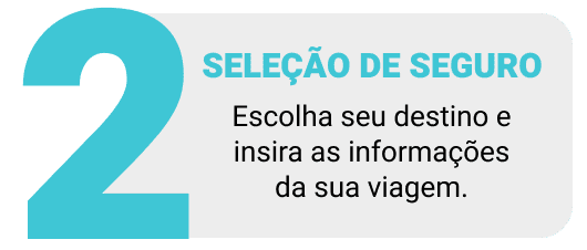 Seleção do Seguro